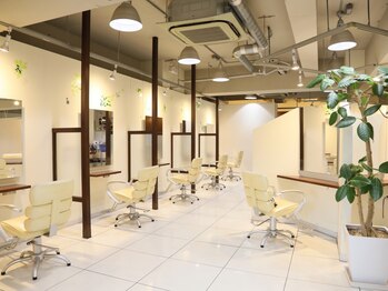 ビューティーラウンジ ビギンズ ヘア(Beauty Lounge BEGINS hair)の写真/マンツーマンで丁寧な施術が好評のサロン★細かい相談も気兼ねなくできる!