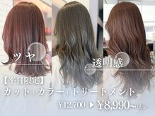 セリュックス(CELUX)