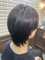 ルピナス 中田(Lupinus)&nbsp;ウルフレッド系カラー