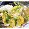 HONORI　艶髪矯正/髪質改善/透明感カラー/ヘッドスパ【ほのり】のお店ロゴ