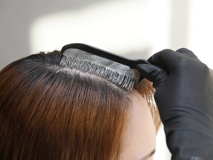 リリー(Lily)の写真