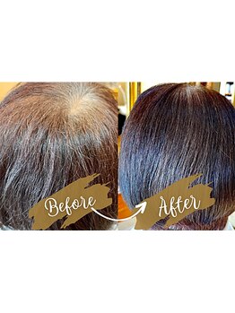 白髪予防しながら染める新感覚カラーエステ。年齢髪の悩みをケア。色もツヤも美しく、続けるほどに差を実感