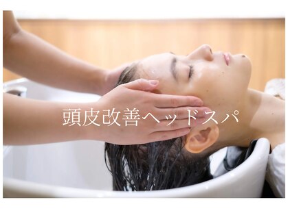 アンジュ ラヴィ(Ange Lavie)の写真