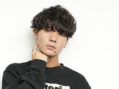 ログ(LOG)の写真