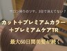 【人気No.1】カット+プレミアムカラー+プレミアムケアTr 【約60日持続】