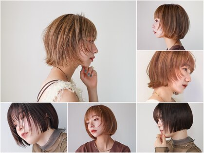 シスタ(SISTA)の写真