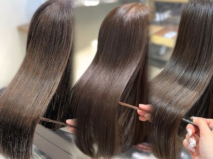 シェリ(Cheri)の写真