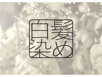 ノンノ 手稲店(nonno)の写真