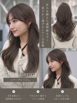 リアン 本厚木(LIAN) シアーグレージュレイヤーカット韓国巻き