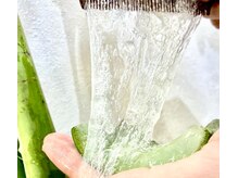 ブルームケーツー 泉崎本店(bloom K2)の雰囲気（厳選した素材を使用しています☆）