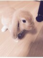 エーレヘアー(ehre hair) うさぎ飼ってます。動物好きの方はお話楽しみにしてます!
