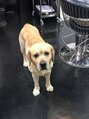 エディ(HEDI)&nbsp;たまに一緒にご来店されます！