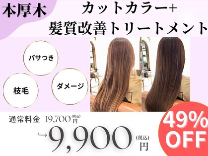 ソラ(ZoLA)の写真