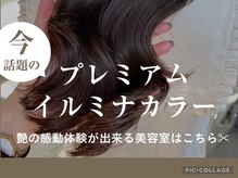 テラスヘア 長岡(TERRACEhair)の雰囲気（イルミナカラーやイノアカラー髪質改善艶力ラーで手触りアップ）