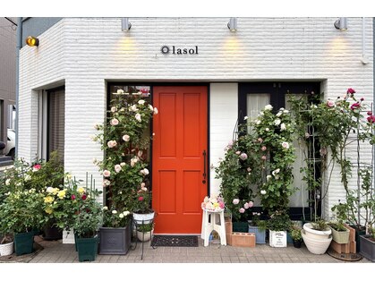 ラソル(lasol)の写真