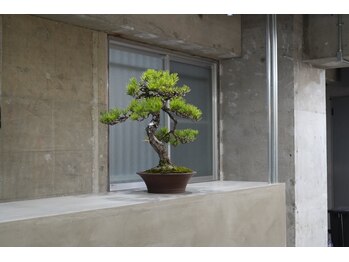 Men's hair salon vellgo 高松店【メンズヘアサロンヴェルゴ】