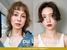 ナループロアオハナ(Nalu pu loa ohana)
