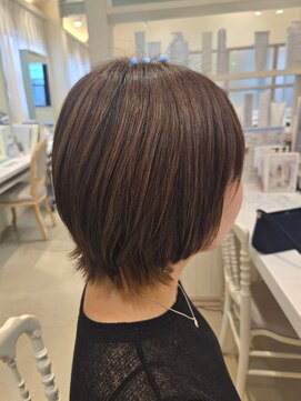 アンソル 戸田店(N'SOL) ウルフぼぶ