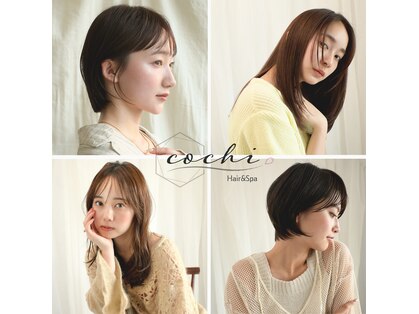 コチ(cochi)の写真