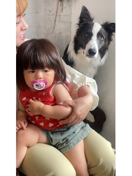 街の小さな美容室ビー(街の小さな美容室be.) ねえねえ遊ぼうよう