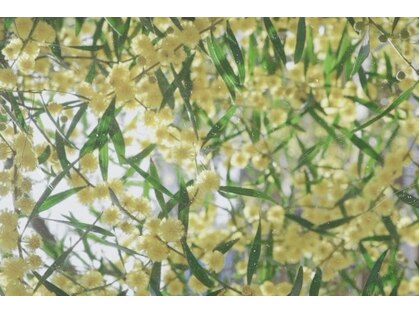 シカク(sikaku.)の写真