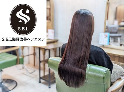 SEL 大船の写真