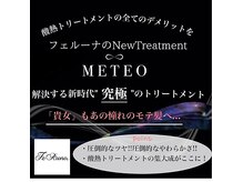 フェルーナ(FeRuna)の雰囲気（フェルーナの【髪質改善メテオ】最高級の艶髪質へ導きます）