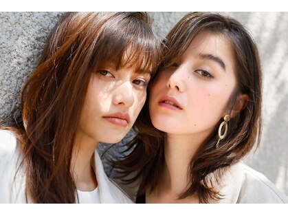カシー(Casii)の写真