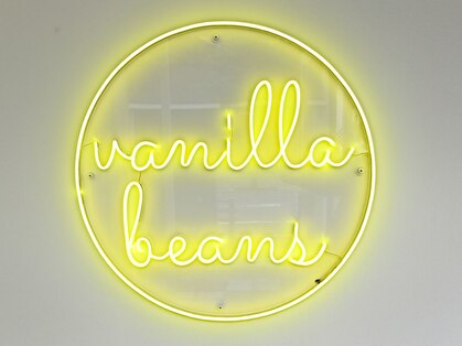 バニラビーンズ(Vanilla beans)の写真