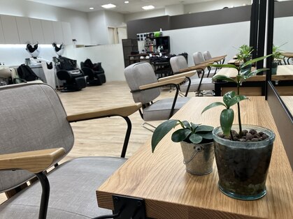 ヌッテ ルビットタウン戸田店(NUTTE)の写真