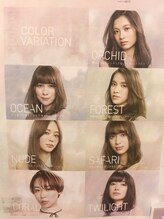 ルミエール 大府店&nbsp;イルミナ カラー