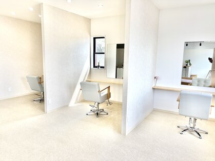 レモン(Lemon)の写真