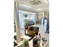 ダダ(DaDa)