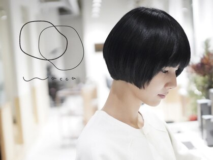 ワッカ(wacca)の写真