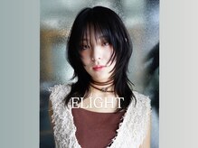 エライトランドマーク(ELIGHT LM)