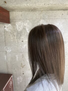 セクション(SECTION) アンブレラカラー