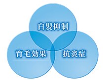 【白髪予防＆予防美容】♪白髪抑制カラー＆エイジング毛に特化した隠れ家サロンです◎
