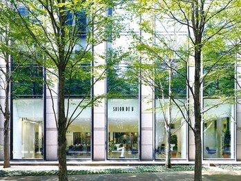 サロンドユー ベルポート本店(SALON DE U)の写真/ガラス張りで解放感溢れる広々した上質な癒し空間。外の緑に心和む至福の時★