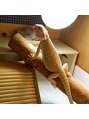 リッジ(ridge) ペットのフトアゴヒゲトカゲ