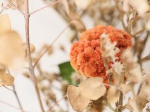 大人女性が居心地の良さを感じられるほっこりする空間