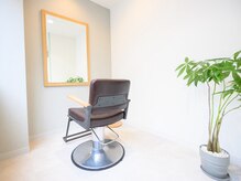 グラスヘアリオン(Grous hair lion)