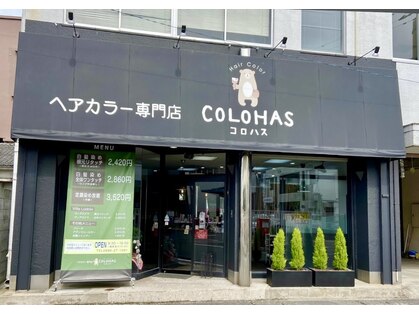 コロハス(COLOHAS)の写真