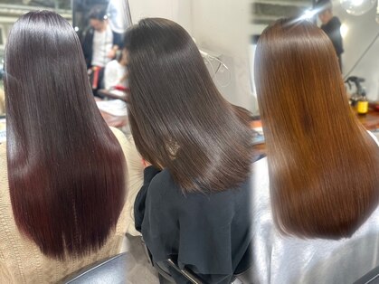 ホリー(HOLLY)の写真