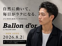 バロンドール 金沢文庫(Ballon d'or)の雰囲気（朝のセットが楽になる時短ヘア[MEN'Sパーマ/MEN'Sカット/MEN'S]）
