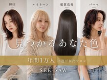 シーソー(SEE-SAW)