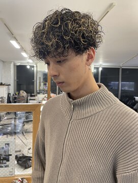 アーリー(Ali'i) ハイライトプードルパーマショート刈り上げツーブロックマッシュ