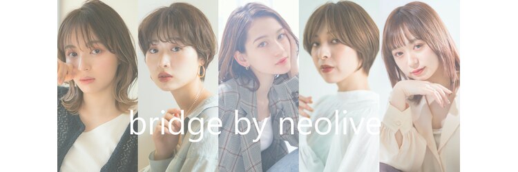 ブリッジ バイ ネオリーブ 綱島店(bridge by neolive)のサロンヘッダー