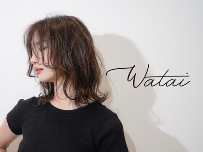 ワタイ(Watai)の写真