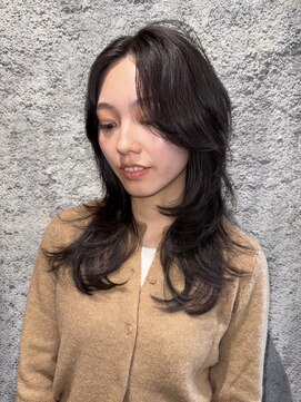 ブロック ジャポン(bloc japon) ash brown / High layer cut