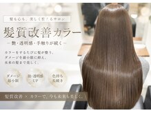 キニ(KINI)